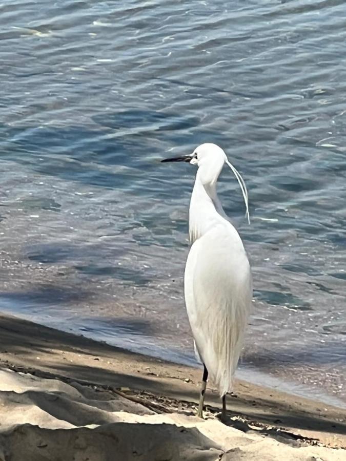 Kallithea Nea Iraklitsa المظهر الخارجي الصورة